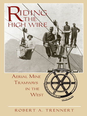 cover image of Riding the High Wire